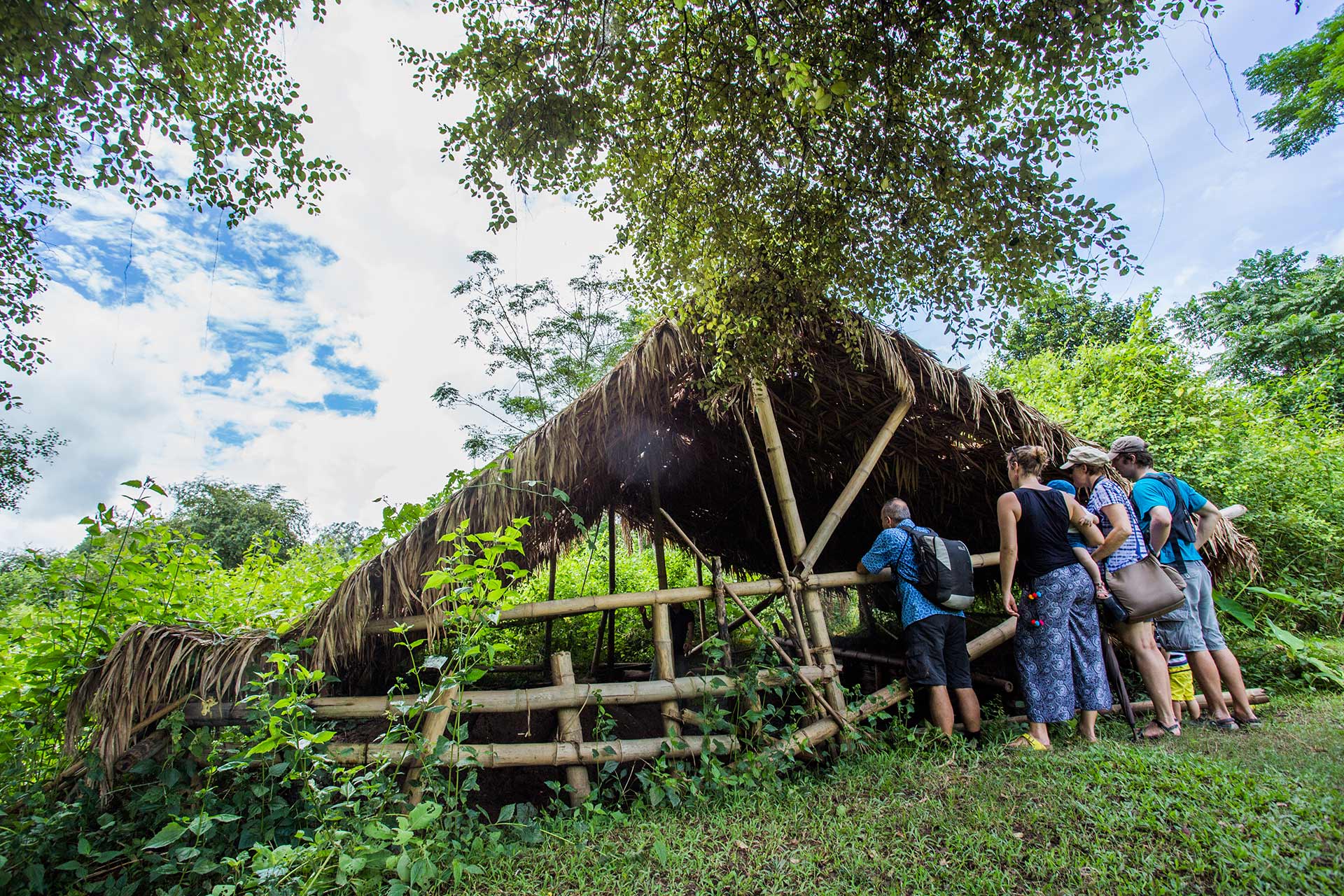 3 Days Luang Namtha Forest Tribe Trekking Tour