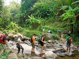 1 Day Luang Namtha Trekking in Nam Ha Rainforest