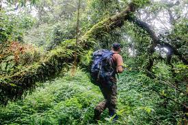 11 Days Nam Et-Phou Louey National Park and Nong Khiaw Challenge Trek