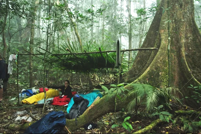 2 Days Trekking Jungle Safari Camp 1