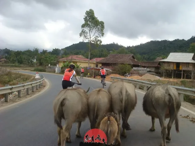 25 Days Thailand - Laos Biking To Vietnam
