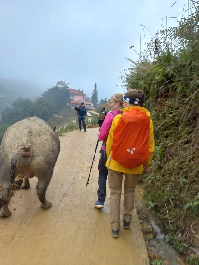 4 Days Nam Ha National Protected Area Safari Tour 1