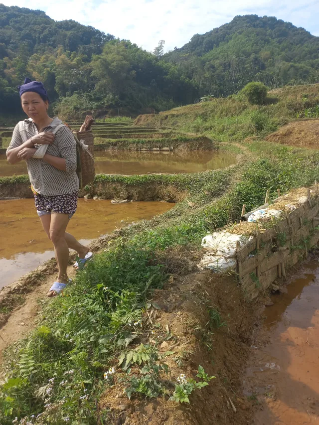 4 Days Nam Ha National Protected Area Safari Tour 3