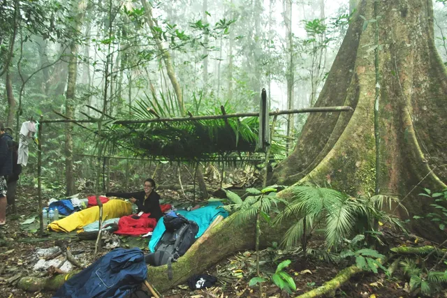 6-Day Adventure Trek through Unique Jungle Exclusive Safari 4