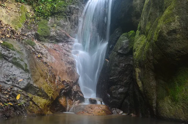 Cloud Forest Climb and Phou Louey Mountain Trek - 4 Days 2