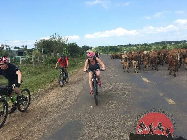 Laos Biking Explore Tours - 15 Days 3