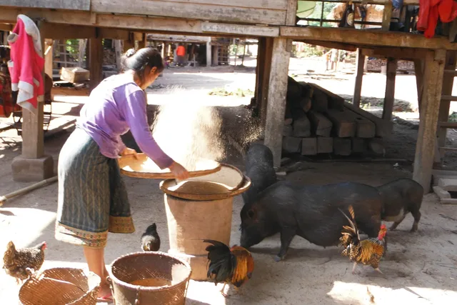 Luang Namtha Trek In Nam Ha - Riverside Camp & Khmu Tribe - 2 Days 2