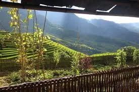 Luang Namtha Trek with Jungle Camping - 3 Days 4