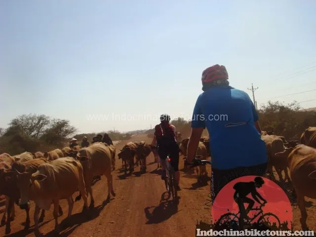 Luang Prabang Cycle To Vang Vieng – 2 Days 2