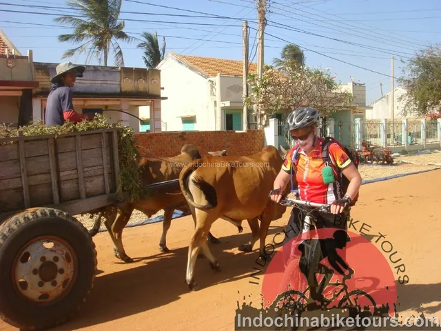 Mekong Experience Cycling Tour - 7 Days 1