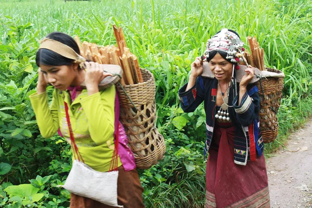 Muang Khoa Trekking To Remote Villages - 2 Days 1