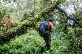 Nam Et-Phou Louey National Park Challenge Trek - 7 Days 1