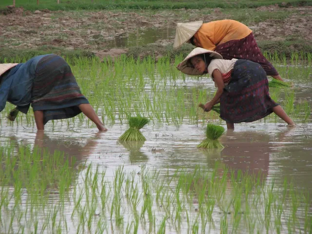 Nong Khiaw Jungle Trek and River Explorer Tour - 3 Days 2