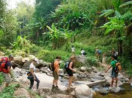 Nong Khiaw Jungle Trek and River Explorer Tour - 3 Days 4