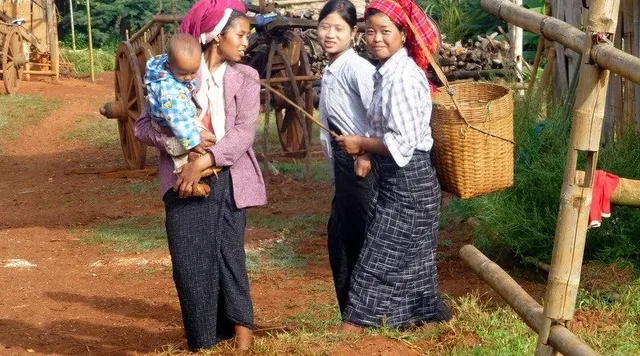 Northern Hilltribes and Jungles Trekking Experience - 12 Days 2