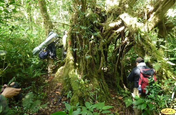 Northern Laos Insight Tour - Nam Ou River, Nong Khiaw - 4 Days 3
