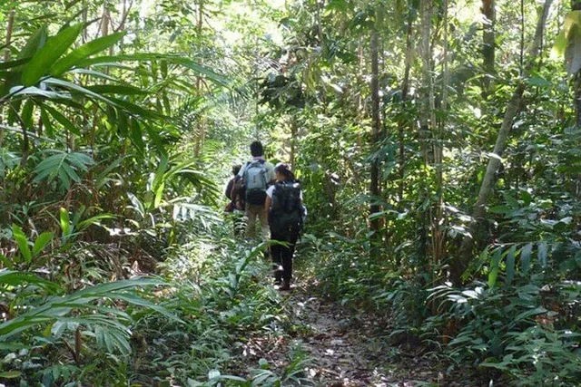 The Nam Nern Night Safari - 2 Days 1