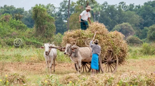 Trekking and Tribes in Northern Laos - 7 Days 1