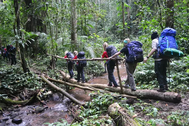 Trekking in Golden Triangle Trail on the Stunning Mountains & the Old Kingdom of Muang Sing - 5 Days 2