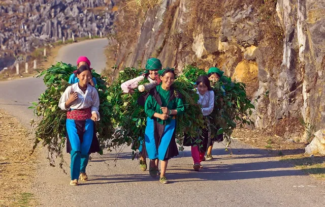 Trekking To Phou Den Din, National Park - 4 Days 1