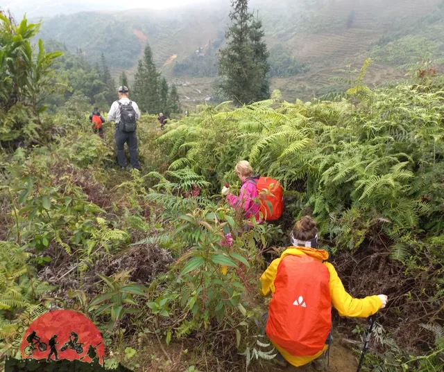 Trekking To Visit Tribal Villages of Phounoi, Akha Oma - 1 Day 1