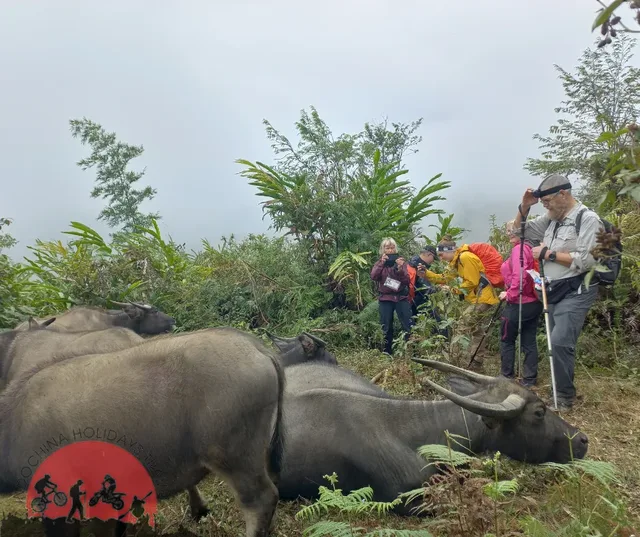 Trekking To Visit Tribal Villages of Phounoi, Akha Oma - 1 Day 4