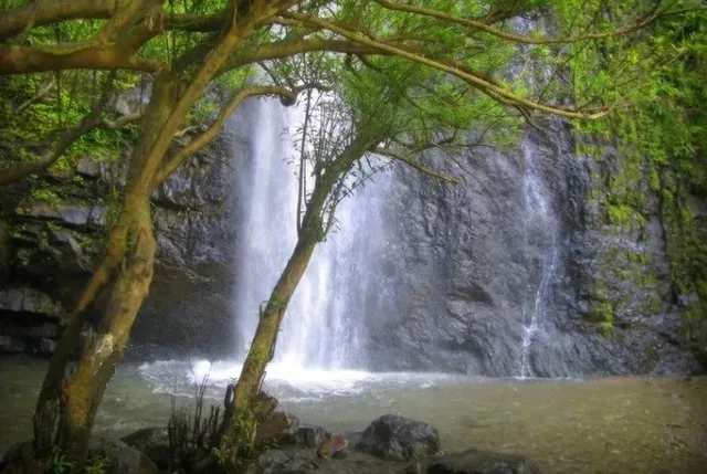 Vang Vieng Trekking and Kayaking to Waterfall - 1 Day 2